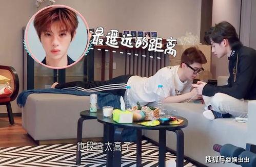 娱乐吃瓜酱学校,揭秘校园里的八卦风云